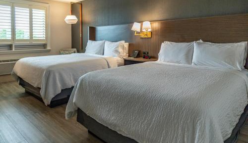 Standard Room with Two Queen Beds