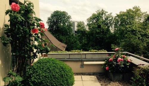 Apartment with Terrace