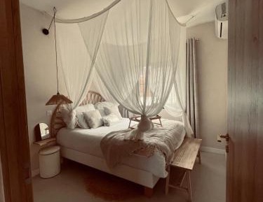 Deluxe One-Bedroom Apartment