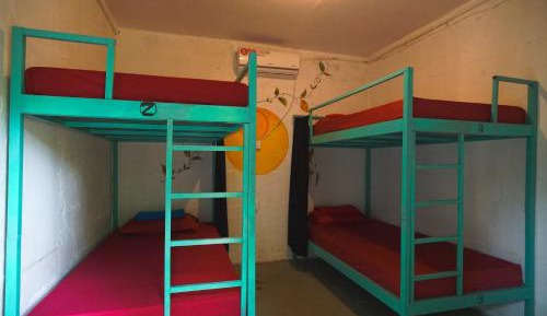 Bed in 4-Bed Mixed Dormitory Room