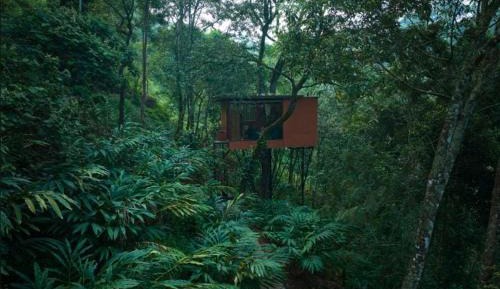 LUXURY TREE HOUSE