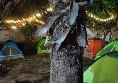 Tent