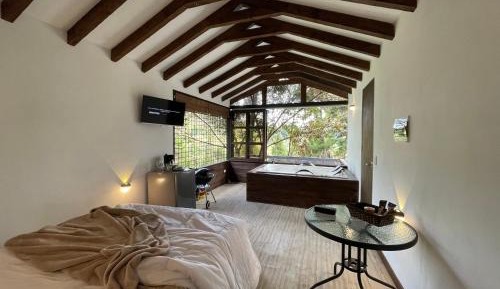 One-Bedroom Villa