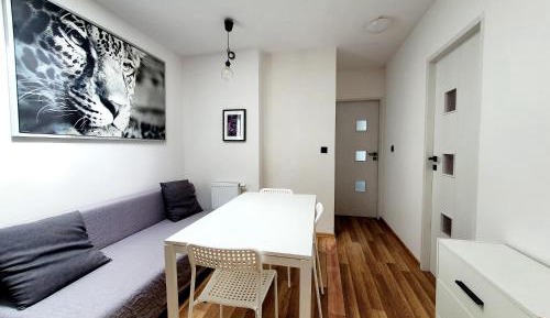 Five-Bedroom Apartment