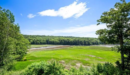 King Room with River View