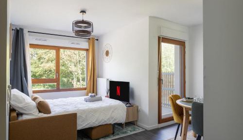 Studio Apartment