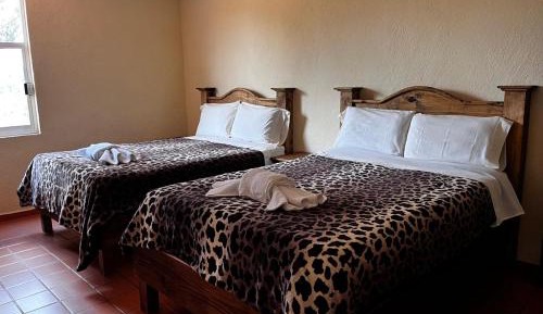 Double Room with Two Double Beds