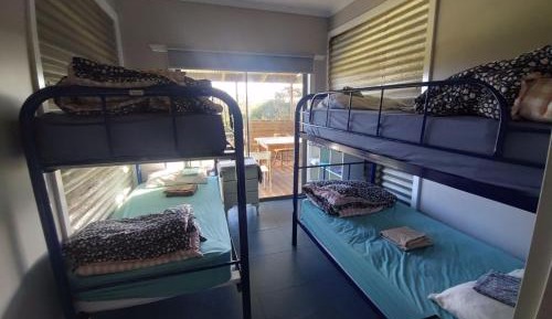 Bed in 4-Bed Mixed Dormitory Room