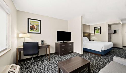 King Suite with Sofa Bed - Non-Smoking