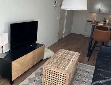 One-Bedroom Apartment with Garden
