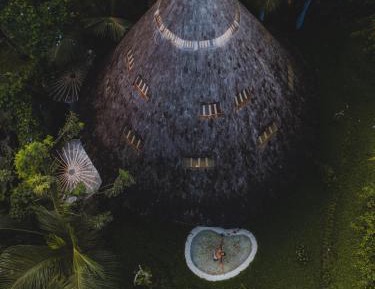 Snail