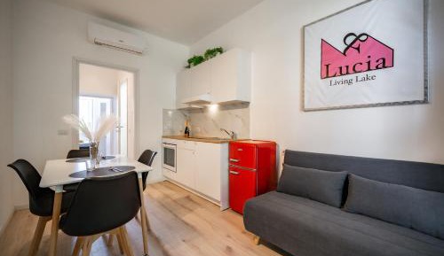 Deluxe One-Bedroom Apartment