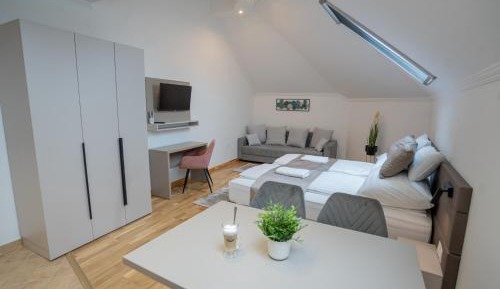 One-bedroom Loft Apartment 