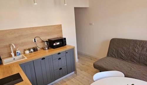 One-Bedroom Family Apartment