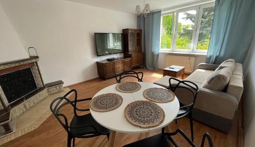 One-Bedroom Premium Apartment