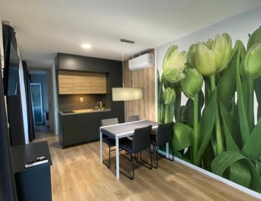 One-Bedroom Apartment with Terrace