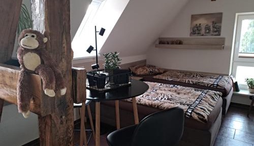 Double or Twin Room with Private Bathroom