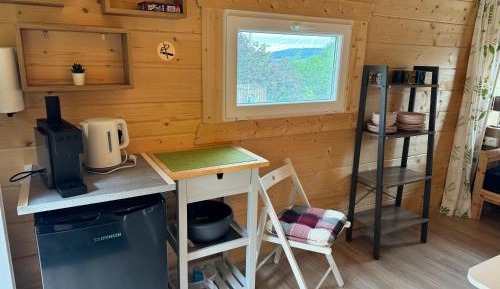 Mobile Home