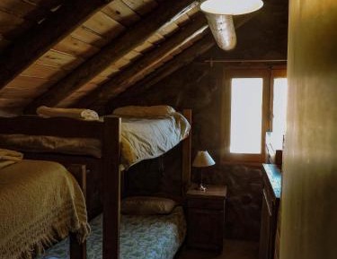Bed in 4-Bed Dormitory Room