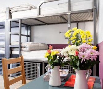 Bed in 6-Bed Mixed Dormitory Room