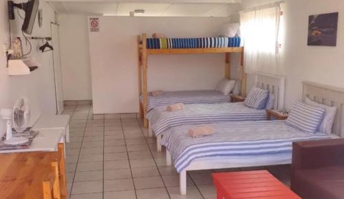 4-Bed Mixed Dormitory Room