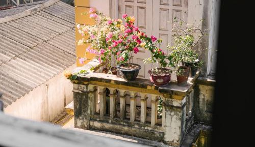 King Room with Garden View