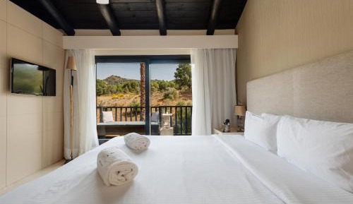 Standard Double or Twin Room with Mountain View
