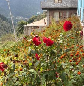 Double Room with Mountain View