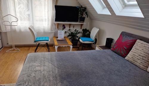 Double Room with Shared Bathroom