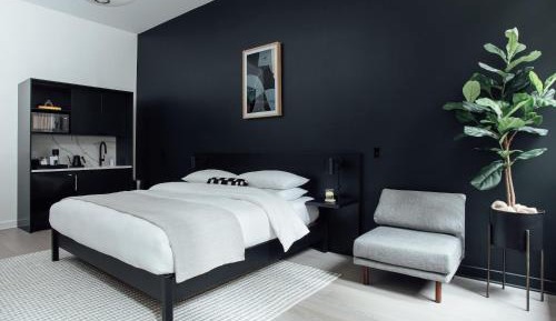 Studio Suite