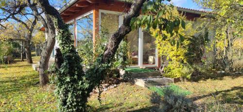 Apartment with Garden View