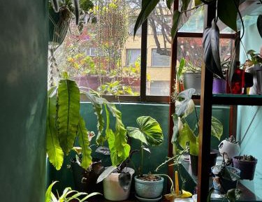 Double Room with Garden View