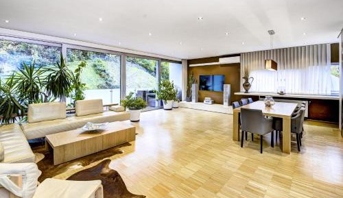 Penthouse Apartment