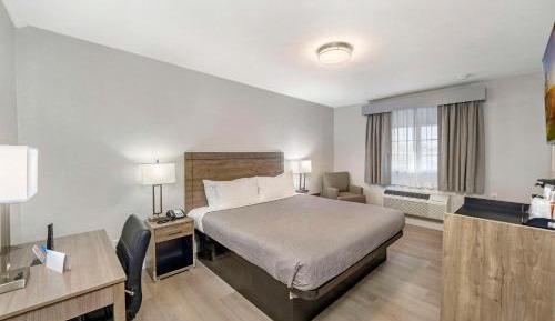Standard King Room - Non-Smoking 