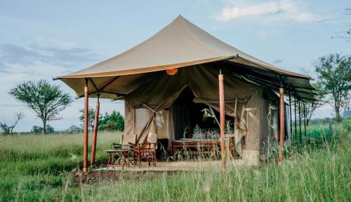 Tent