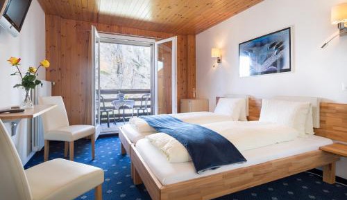 Double Room with Balcony and Mountain View