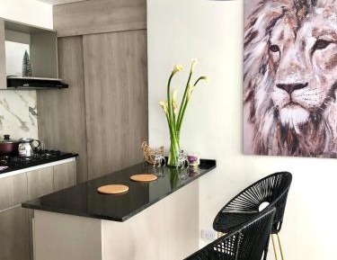 Duplex Apartment