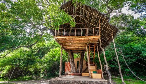 Deluxe Tree House