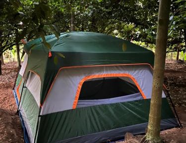 Tent