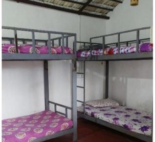 Bed in 4-Bed Female Dormitory Room