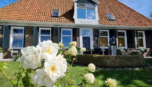 Standard Twin Room with Garden View