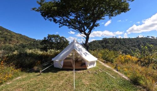 Tent