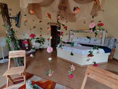 Deluxe Double or Twin Room with Mountain View
