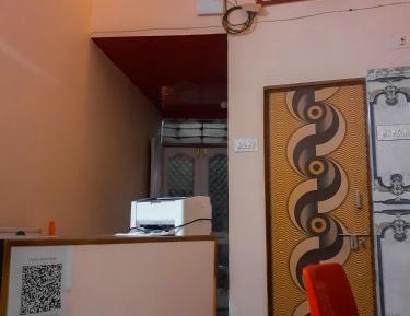 Bunk Bed in Mixed Dormitory Room