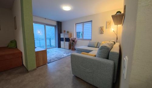 Superior One-Bedroom Apartment with Balcony