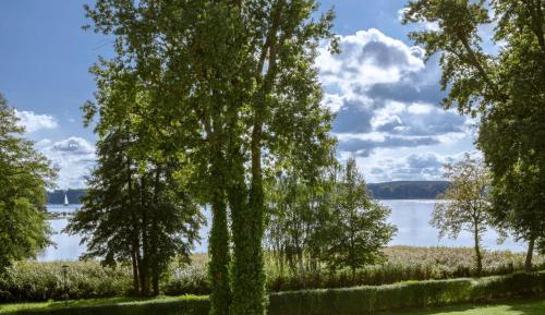 Suite with Lake View