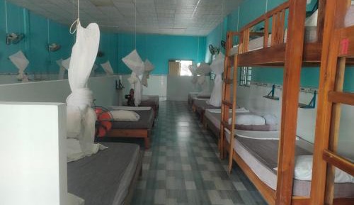 Bunk Bed in Mixed Dormitory Room
