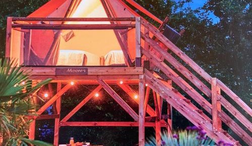 Tent
