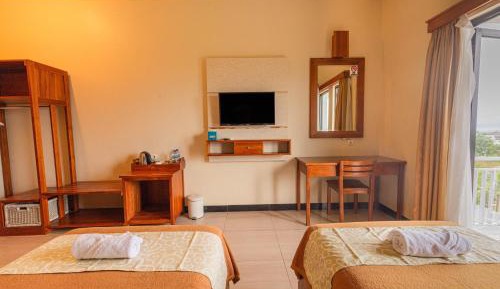 Superior Double or Twin Room