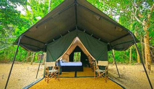 Tent